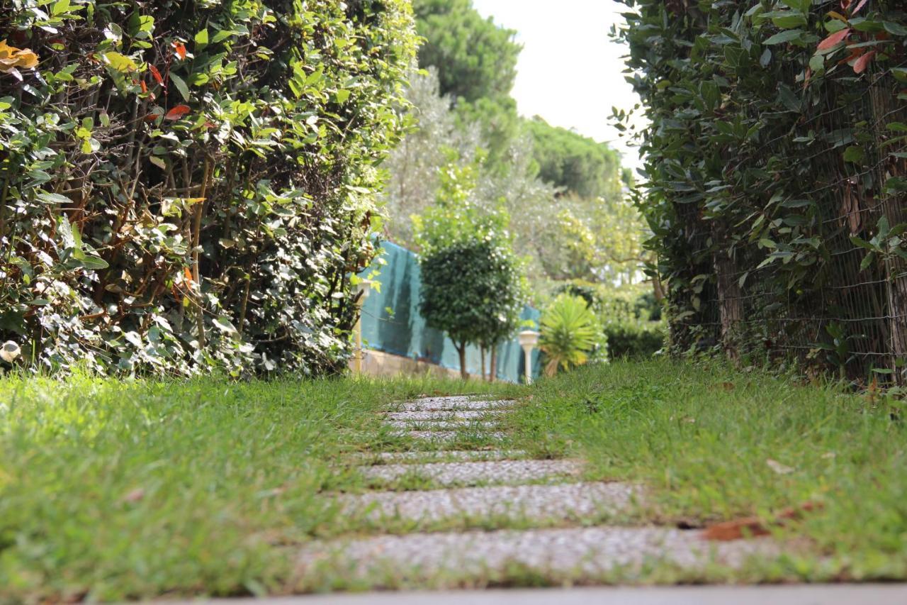 Bed & Breakfast Villino Fiorella Ciampino
